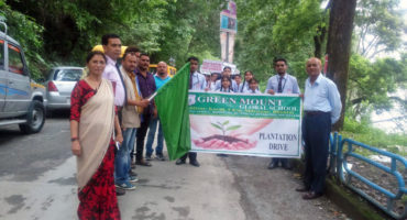 Plantation-Drive-2